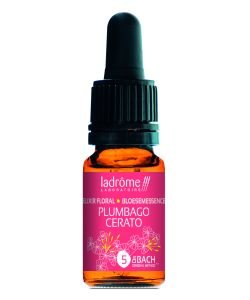 Plumbago - Cerato (No. 5) BIO, 10 ml